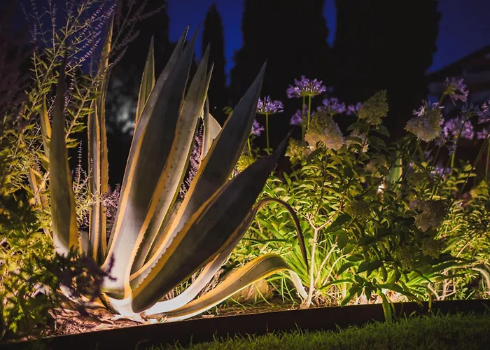 Kennedy - Robert Apartament *